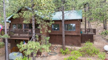203 Hilltop Drive