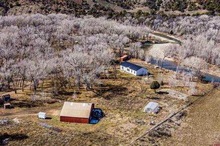 19461 State HWY 151
