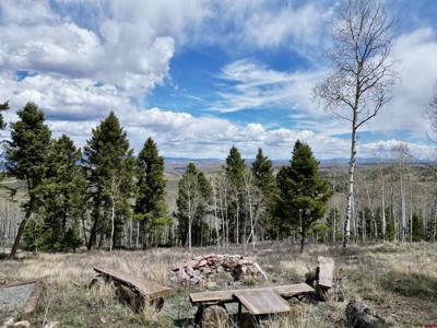 6001 County Road 25
