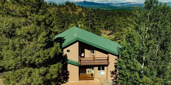 1211 Cool Pines Drive