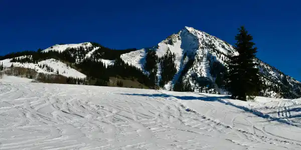 8 Black Diamond Trail
