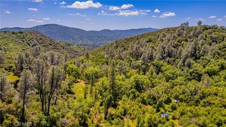 4743 Buffalo Gulch Road