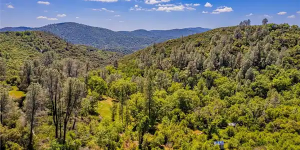 4743 Buffalo Gulch Road