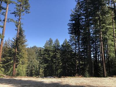 0 Little Buck Road