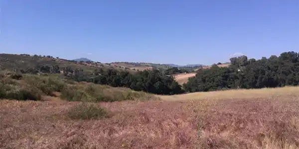 0 Hwy 78 (Julian Rd)
