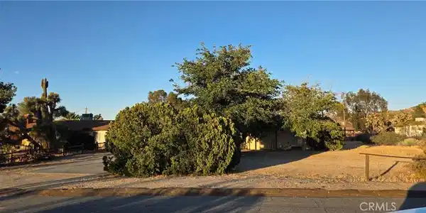7801 Condalia