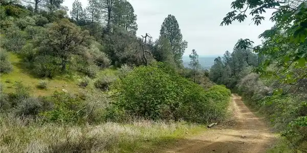 0 Olympia Drive