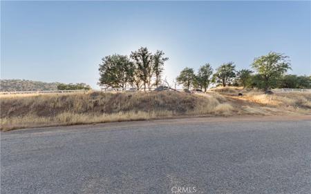 16295 Wrangler Drive