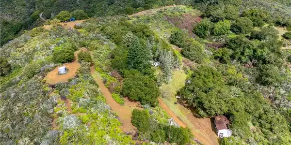 3395 Wallace Mountain Road