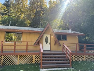 14109 Meadow