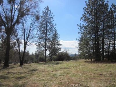 0 Lot #9 Hard Times Ranch