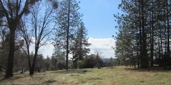 0 Lot #9 Hard Times Ranch