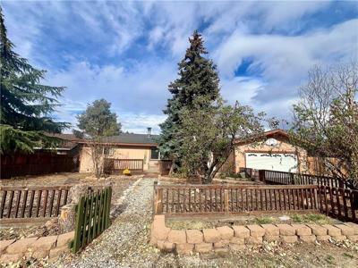 1118 Snowline
