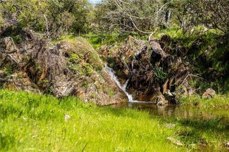 10777 Walker Trail Road