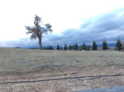 1280 Lot 8 Fire Rock Loop