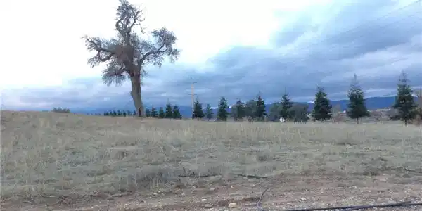 1280 Lot 8 Fire Rock Loop
