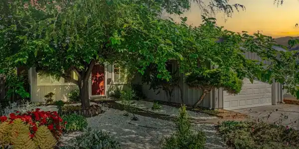 3375 Holly Drive