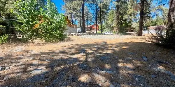 5357 Orchard