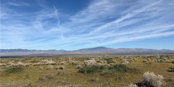 0 Drylake