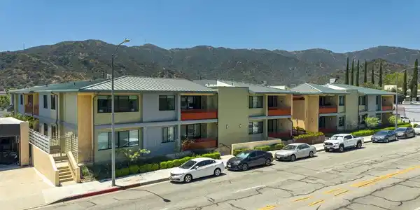 Image 2