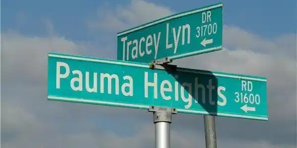 31782 Tracy Lyn Dr