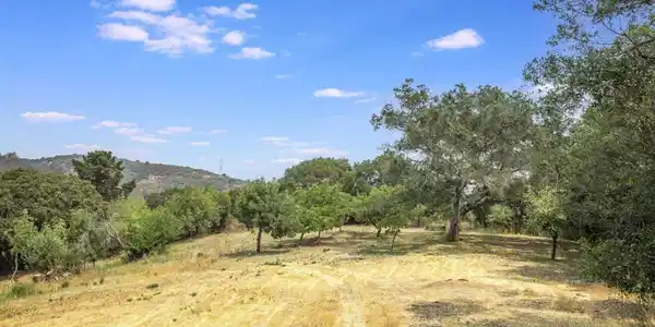 0 Montevina Road