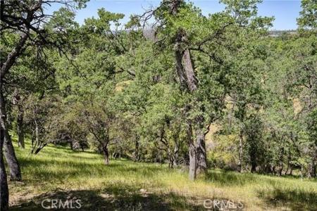 20947 Powder Horn Road