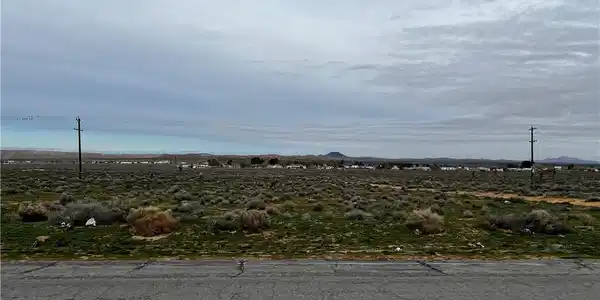 0 20 Mule Team Road