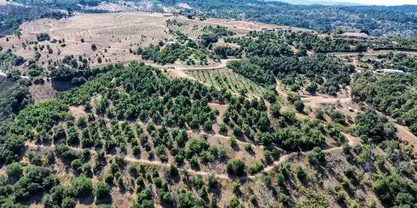 0 Courser Canyon Road