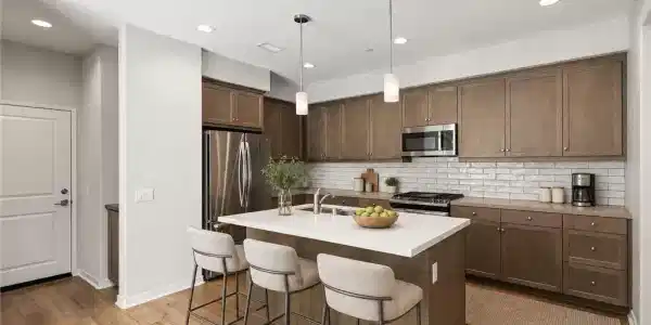 31258 Calle Cirros