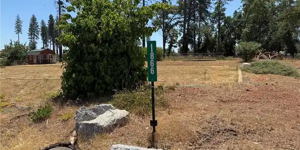 1866 Conifer Drive