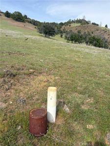 0 Yellow Dog Trail