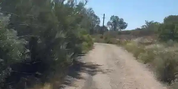 Highway  94 Campo Rd