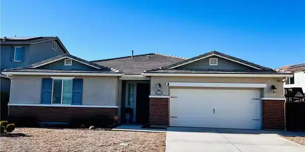 29133 Carrotwood