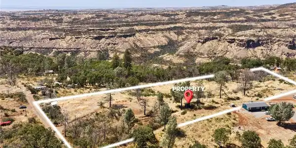 49 Bear Paw Road