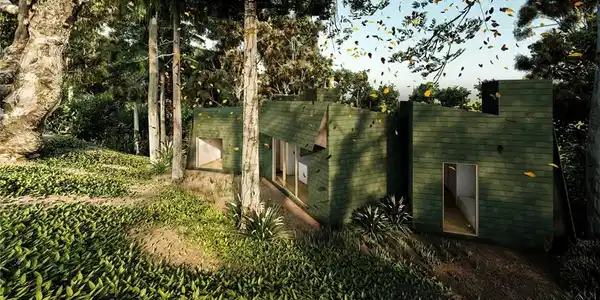 Image 2
