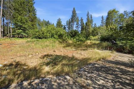 16132 Ponderosa