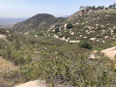 Harris Truck Trail 41.36 acres