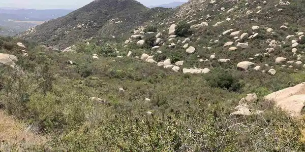 Harris Truck Trail 41.36 acres