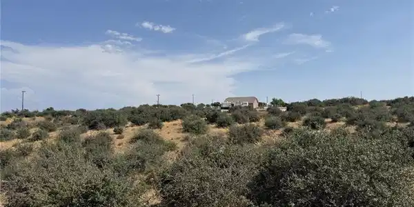 0 Mesquite