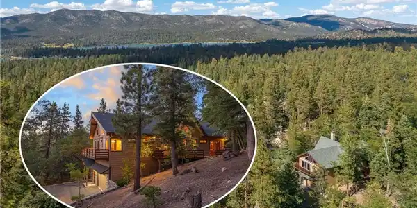 41205 Terrapin Road