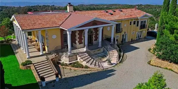 Image 4