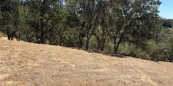 2174 Ridge Rider