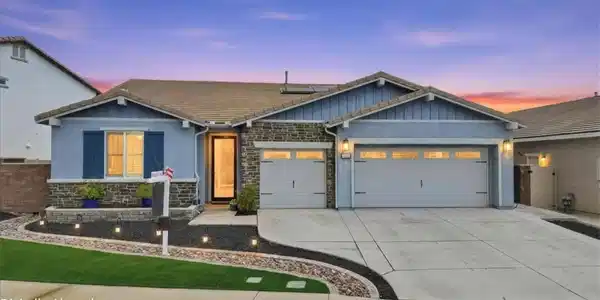 29115 Brittbush