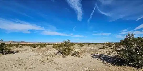 800 Desert Queen