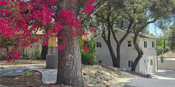 3130 N Mount Curve