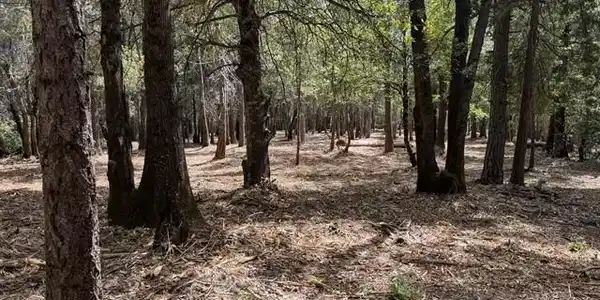 0 Platt Mountain Road