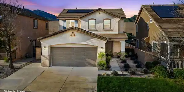 3811 Bur Oak