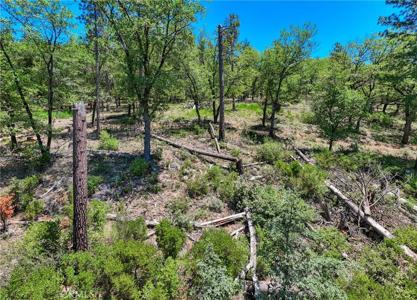 12548 Observation Road