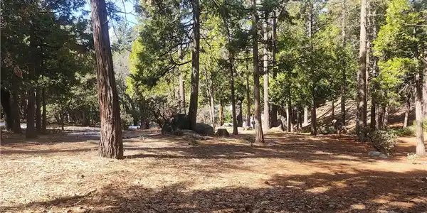 52547 Pine Cove